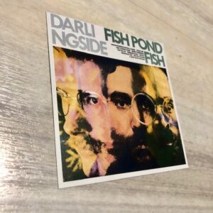 Darlingside: “Fish pond fish” (2020)