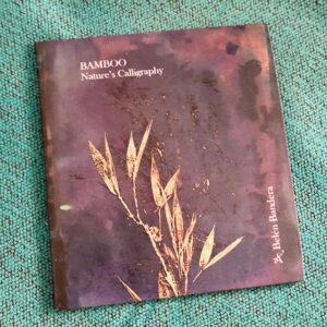 Belén Bandera: “Bamboo (Nature’s calligraphy)” (2023)