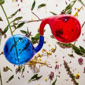 Dirty Projectors: “Lamp lit prose” (2018)