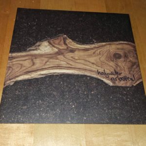 Holywater: “Arboreal” (2019)