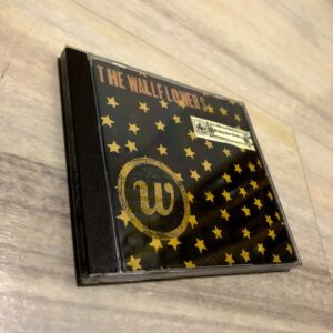 The Wallflowers: “Bringing down the horse” (1996)