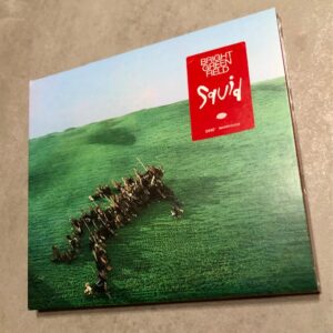 Squid: “Bright green field” (2021)