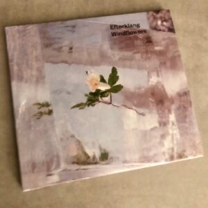 Efterklang: “Windflowers” (2021)