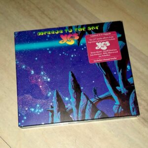 Yes: “Mirror to the sky” (2023)
