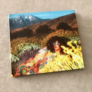 Brittany Howard: “What now” (2024)