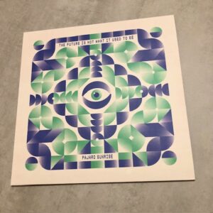 Pajaro Sunrise: “The future is not what it used to be” (2024)