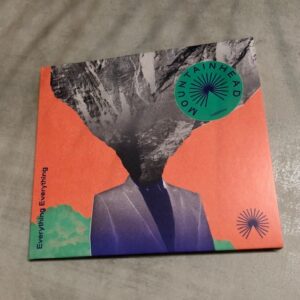 Everything Everything: “Mountainhead” (2024)