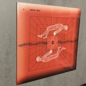 Mocho Gris: “2” (2024)